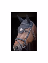 JumpIn Week Tuesday Träns med Aachennosgrimma