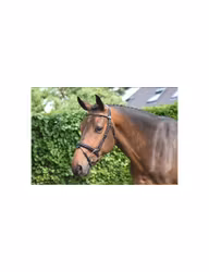 JumpIn Week Wednesday Träns med Aacennosgrimma