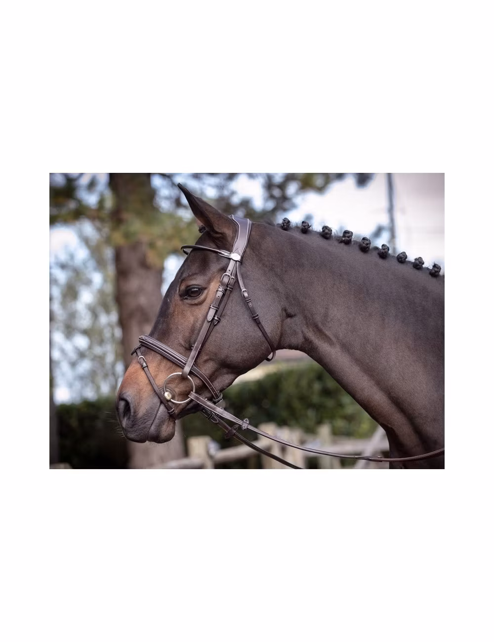 JumpIn Week Wednesday Träns med Aacennosgrimma