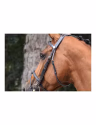 JumpIn Week Thursday träns med aachennosgrimma