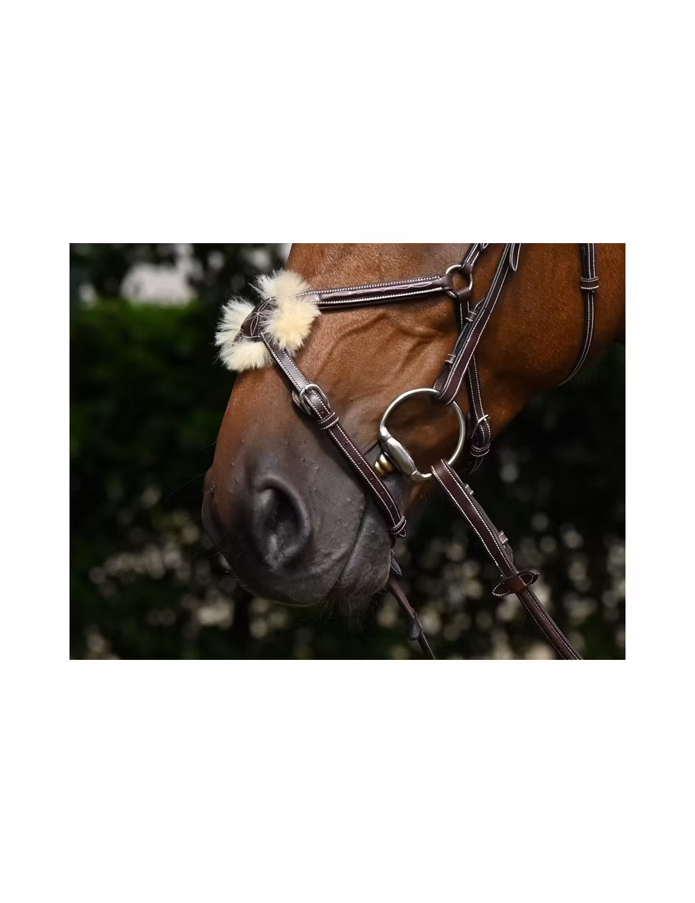 JumpIn Week Thursday träns med mexikansk nosgrimma