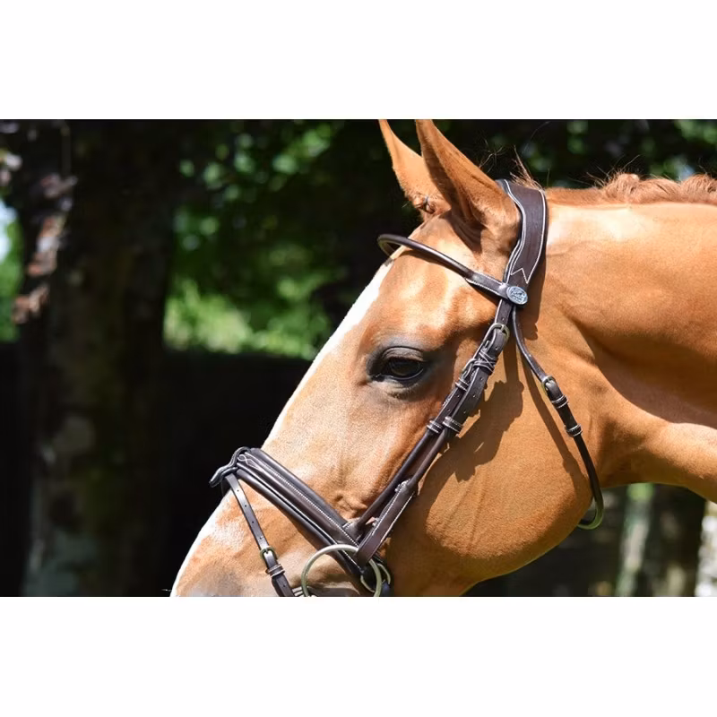 JumpIn Week Friday Träns med Acchennosgrimma