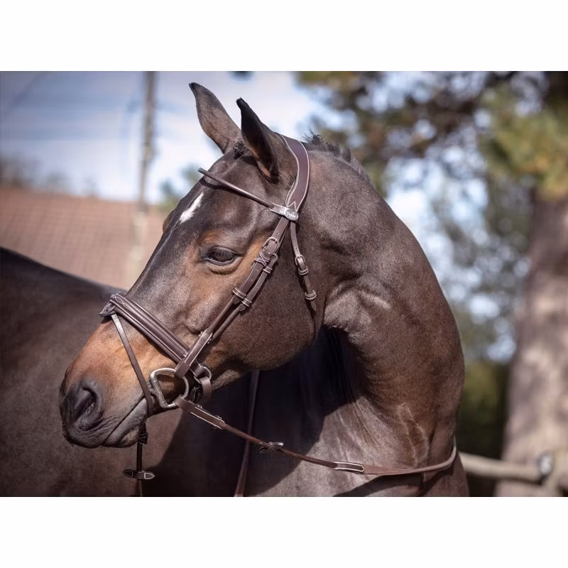 JumpIn Week Friday Träns med Acchennosgrimma