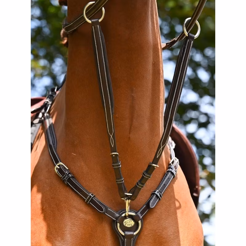 JumpIn Week Martingaldel Wednesday