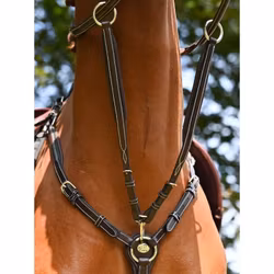 JumpIn Week Martingaldel Wednesday