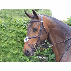 JumpIn Week Howlett "Tidemanstygel"