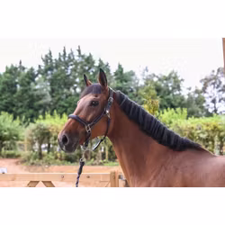 JumpIn Week Wednesday Lädergrimma