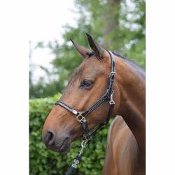 JumpIn Week Groominggrimma