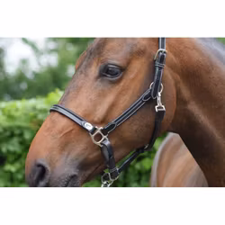 JumpIn Week Groominggrimma