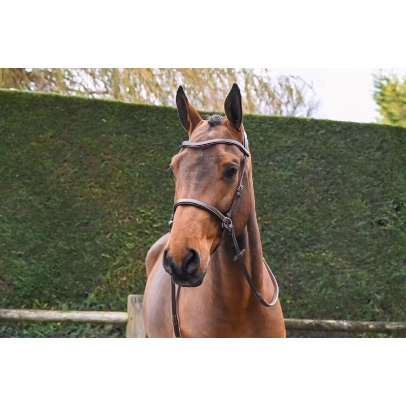 JumpIn One Bettlöst träns