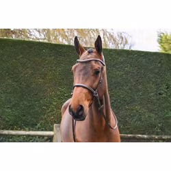 JumpIn One Bettlöst träns