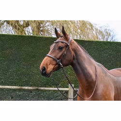 JumpIn One Bettlöst träns