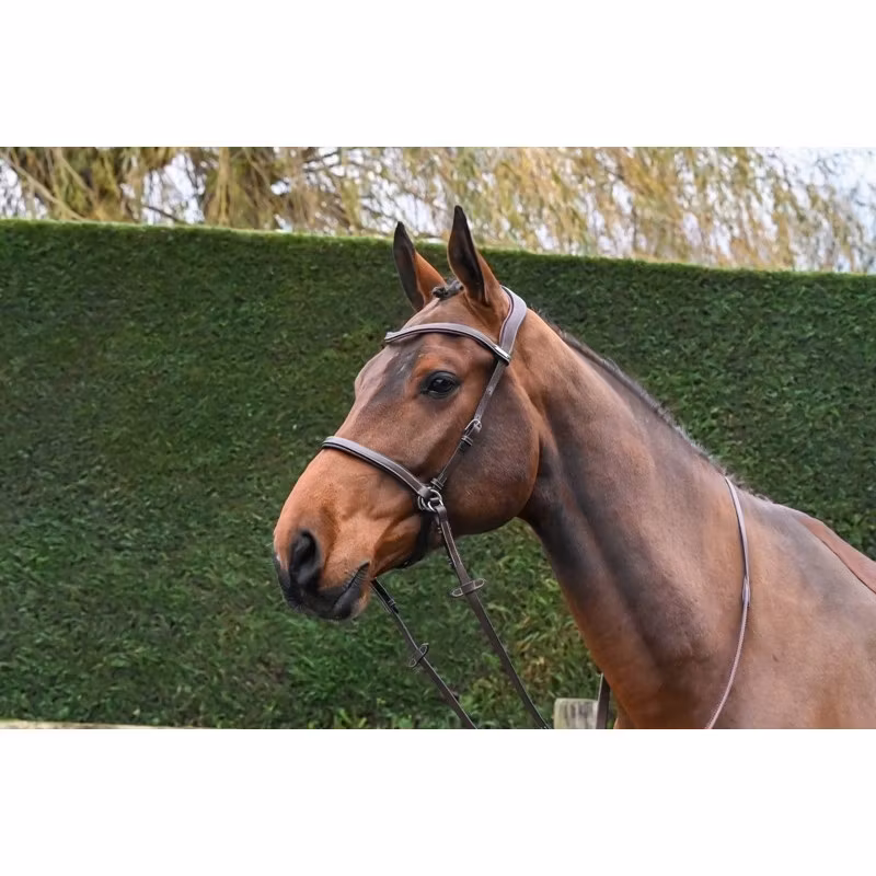 JumpIn One Bettlöst träns