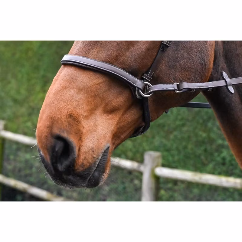 JumpIn One Bettlöst träns