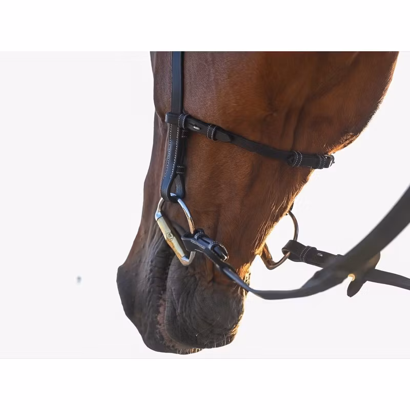 JumpIn One Liberty Hackamoreträns