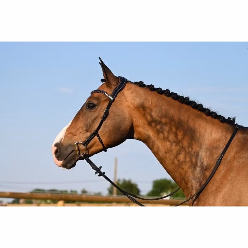 JumpIn One Liberty Hackamoreträns