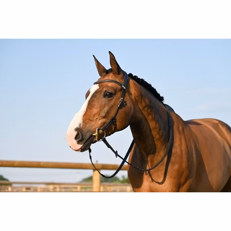 JumpIn One Liberty Hackamoreträns