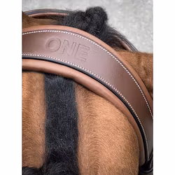 JumpIn One London träns med aachennosgrimma