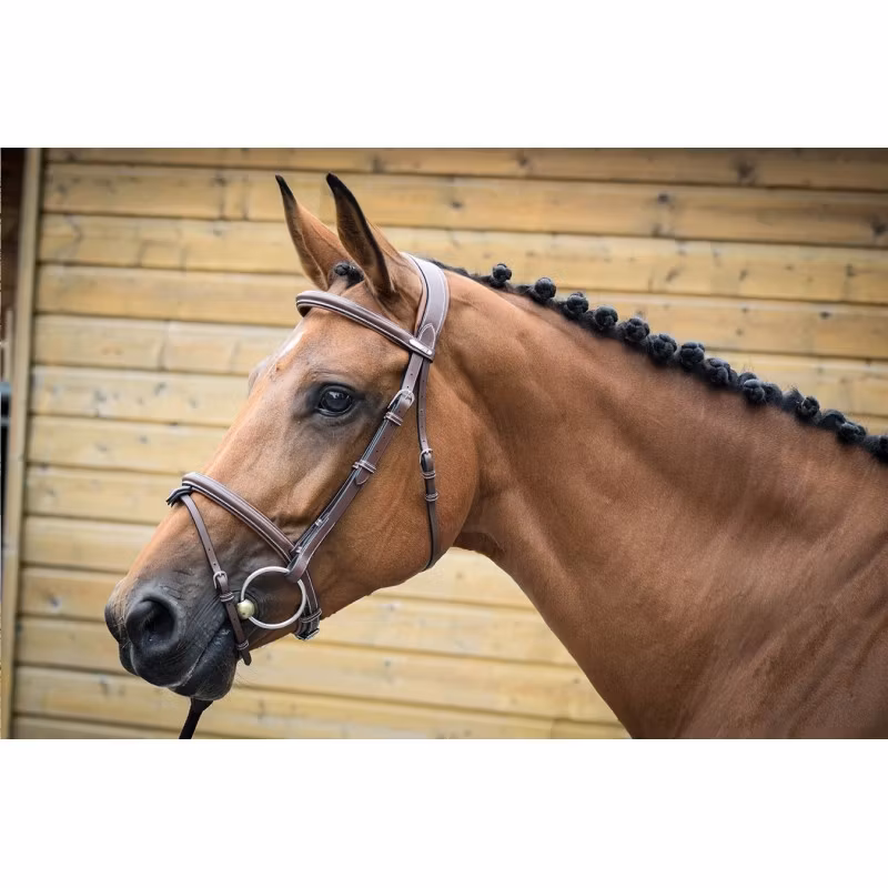 JumpIn One London träns med aachennosgrimma