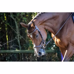 JumpIn One New York träns