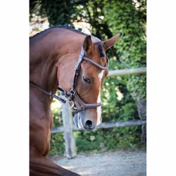 JumpIn One New York träns