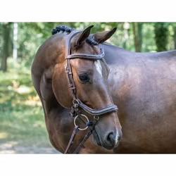 JumpIn One Manhattan Träns