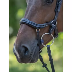 JumpIn One Manhattan Träns