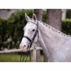 JumpIn One Courchevel Kandar