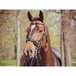 JumpIn One Courchevel Kandar