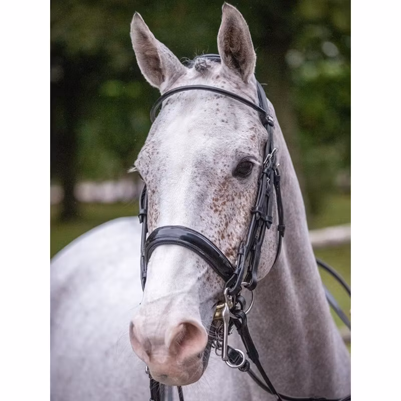 JumpIn One Courchevel Kandar