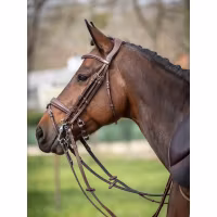 JumpIn One Megève Kandar