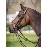 JumpIn One Megève Kandar