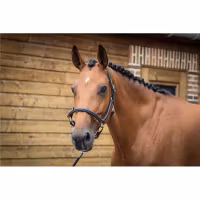 JumpIn One Groominggrimma