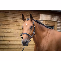 JumpIn One Groominggrimma