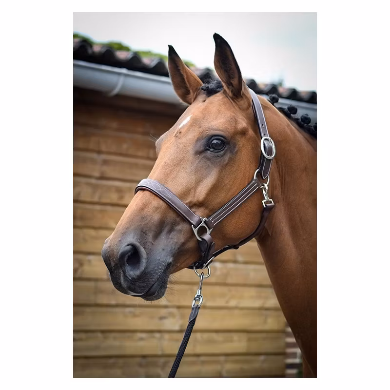 JumpIn One Fancy lädergrimma