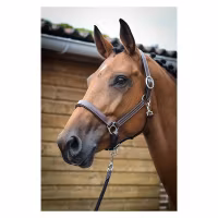 JumpIn One Fancy lädergrimma