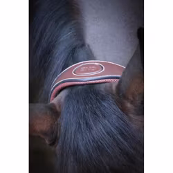 JumpIn One "Travel" Grimma