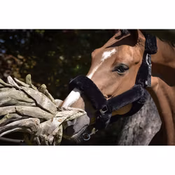 JumpIn One "Soft" Grimma