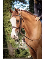 JumpIn One Elastisk Hjälptygel