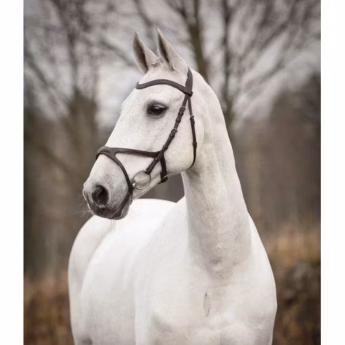 Källquist Träns Knights Arthur