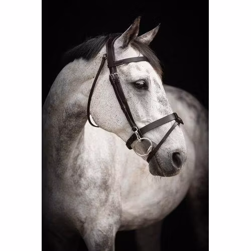 Källquist Träns Lippo Basic Trainer