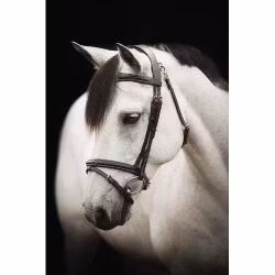 Källquist Lippo Basic Fancy