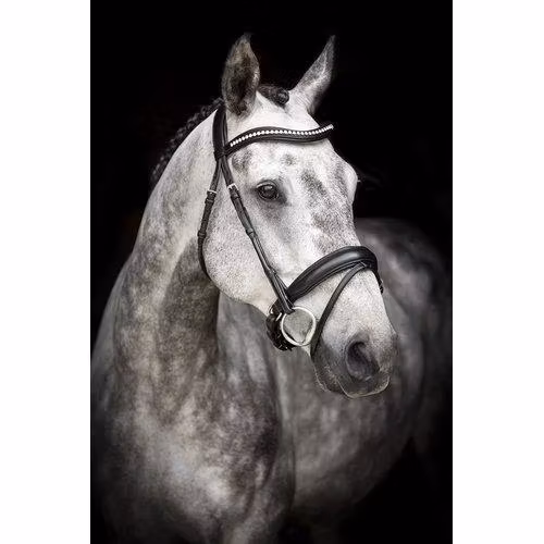 Källquist Träns Lippo Supreme Courbette