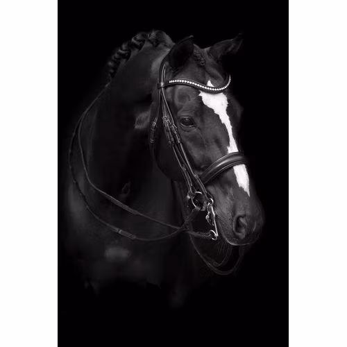 Källquist Kandar Lippo Supreme Delicato