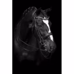 Källquist Kandar Lippo Supreme Delicato