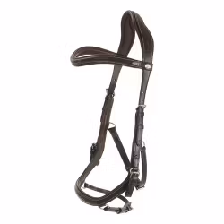 Källquist Träns Lippo Milton