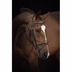 Källquist Träns Lippo Supreme Fancy