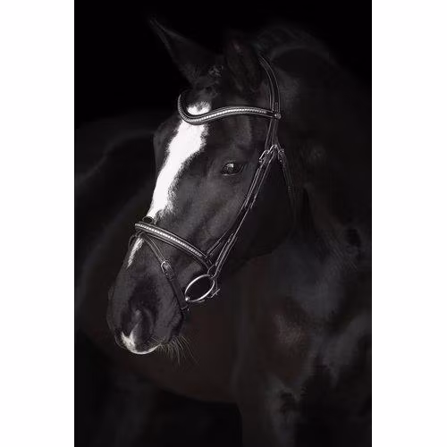 Källquist Träns Lippo Supreme Nexon