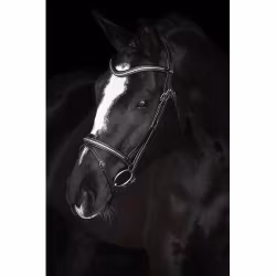 Källquist Träns Lippo Supreme Nexon