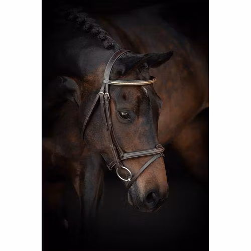 Källquist Träns Lippo Basic Preston Fancy